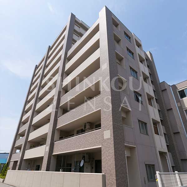 サンデュエル白虎