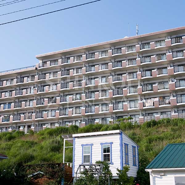 パープルシャトー眺望台