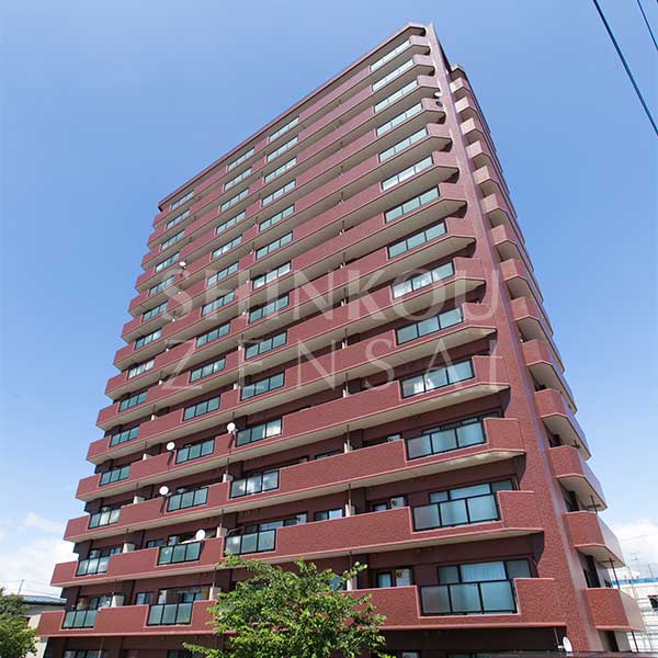 クルーザーバレー八橋