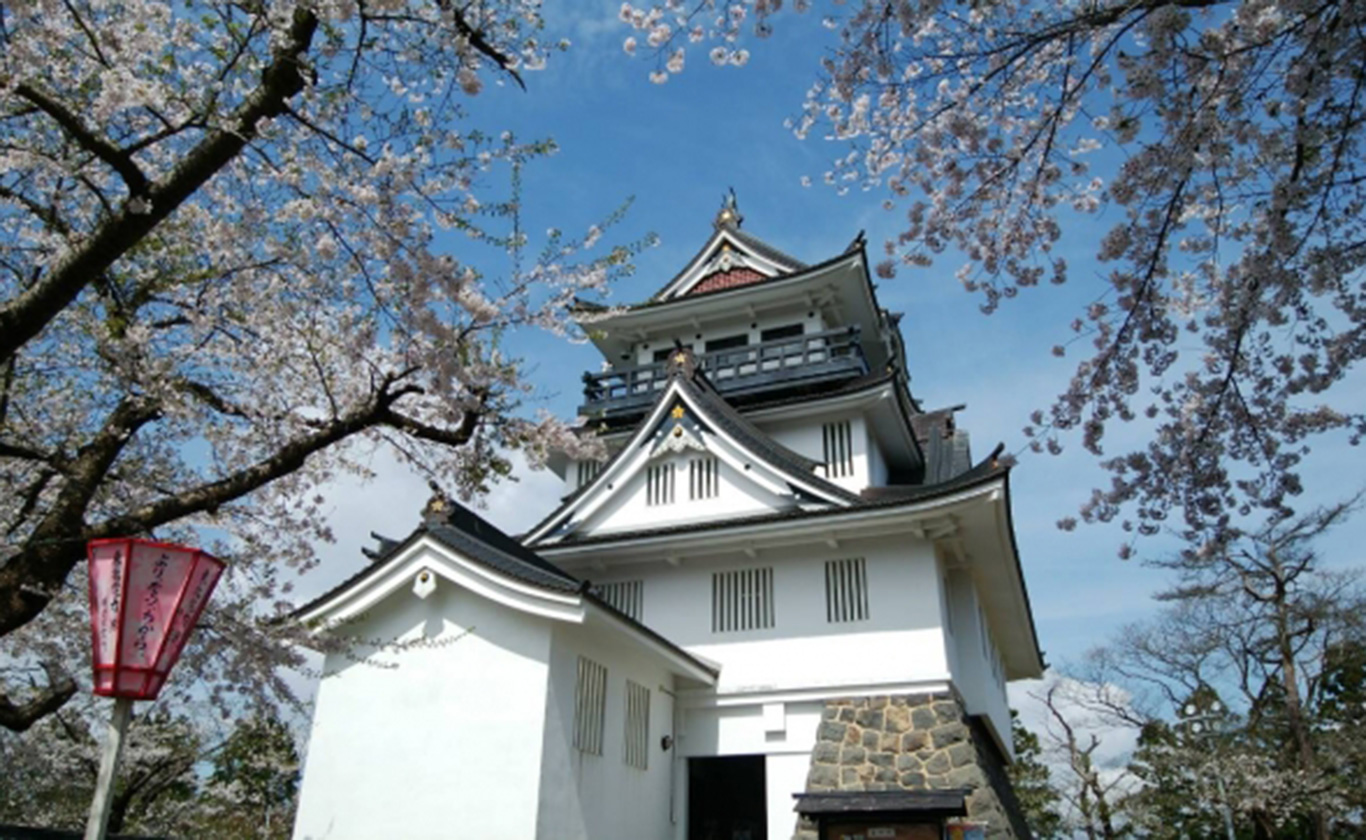 私たちが選ばれる理由