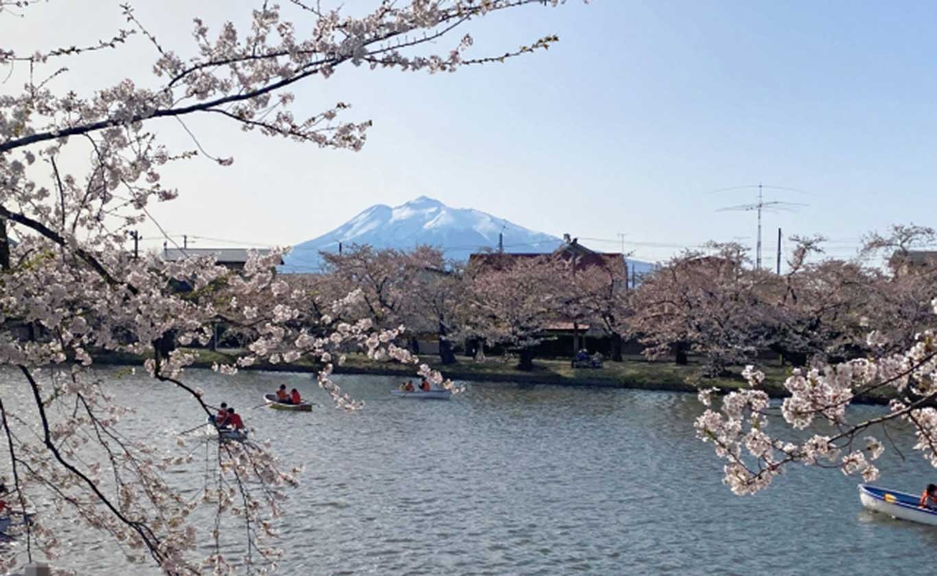 私たちが選ばれる理由