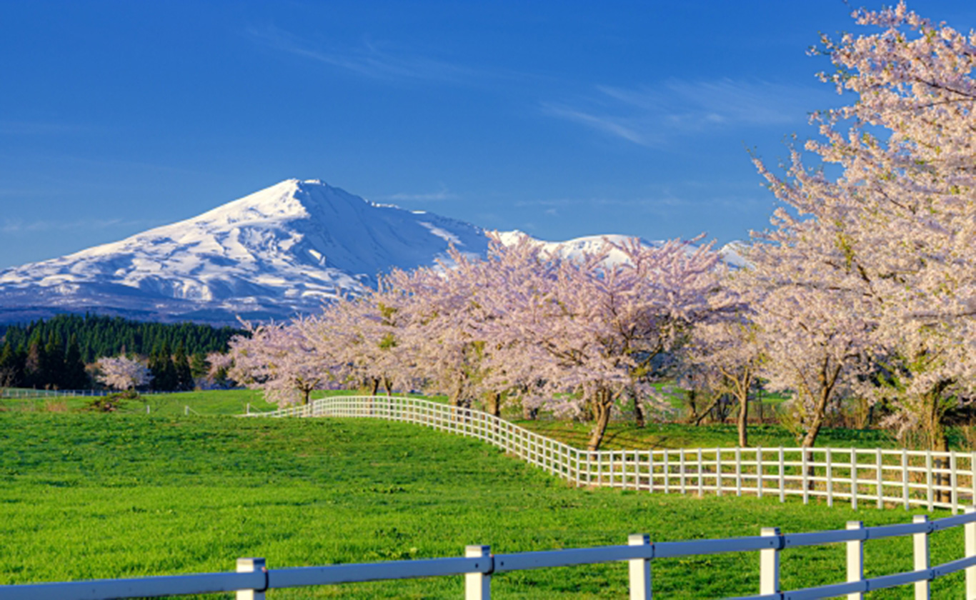 私たちが選ばれる理由