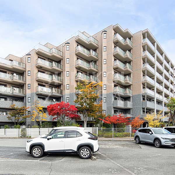 グランドハイツミュウゼ1er