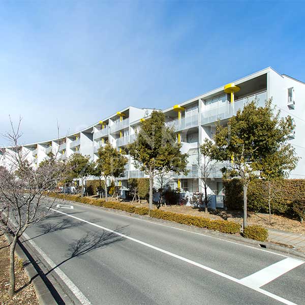 イエローフラットN