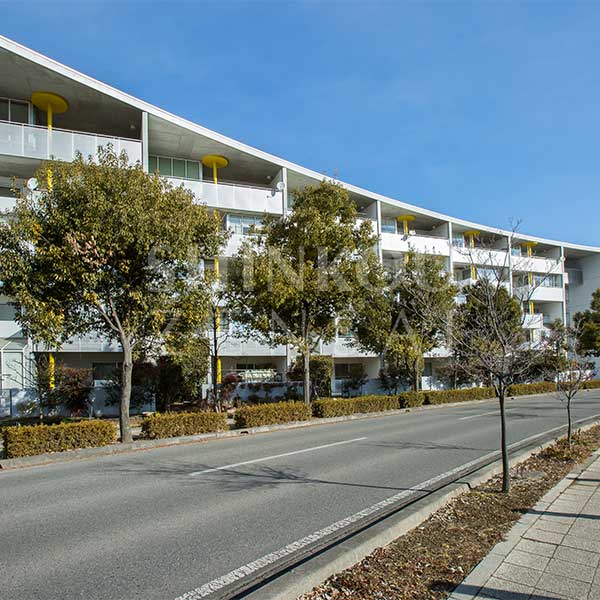 イエローフラットN