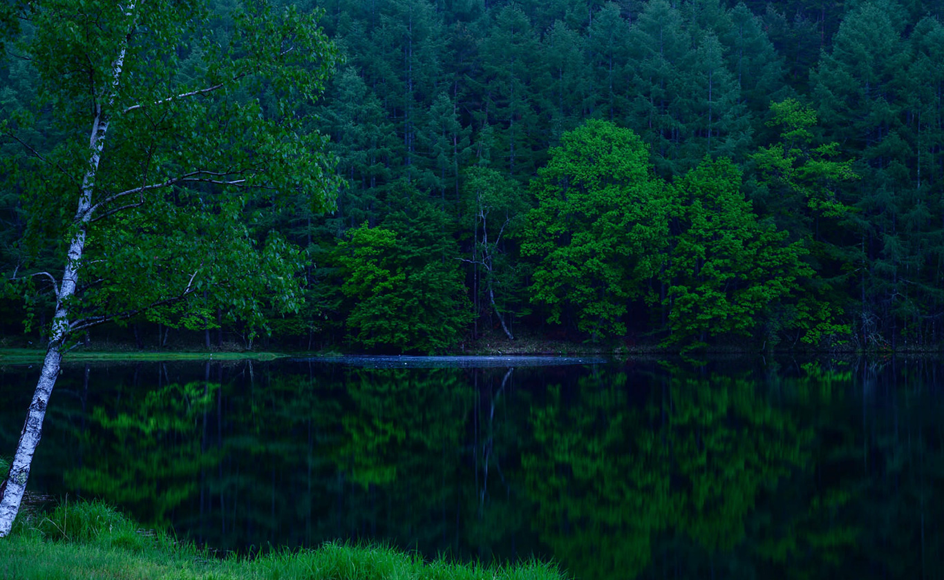 お電話でもお気軽にご相談ください