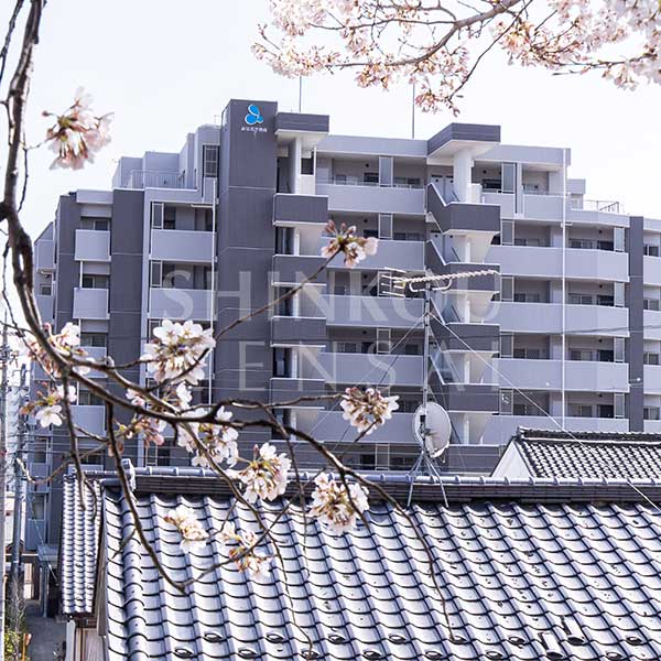 アルファステイツ善光寺下