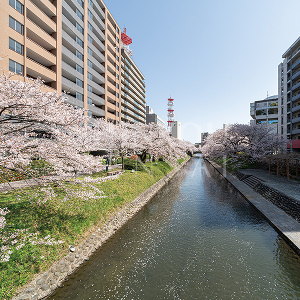 D’グランセ新桜町
