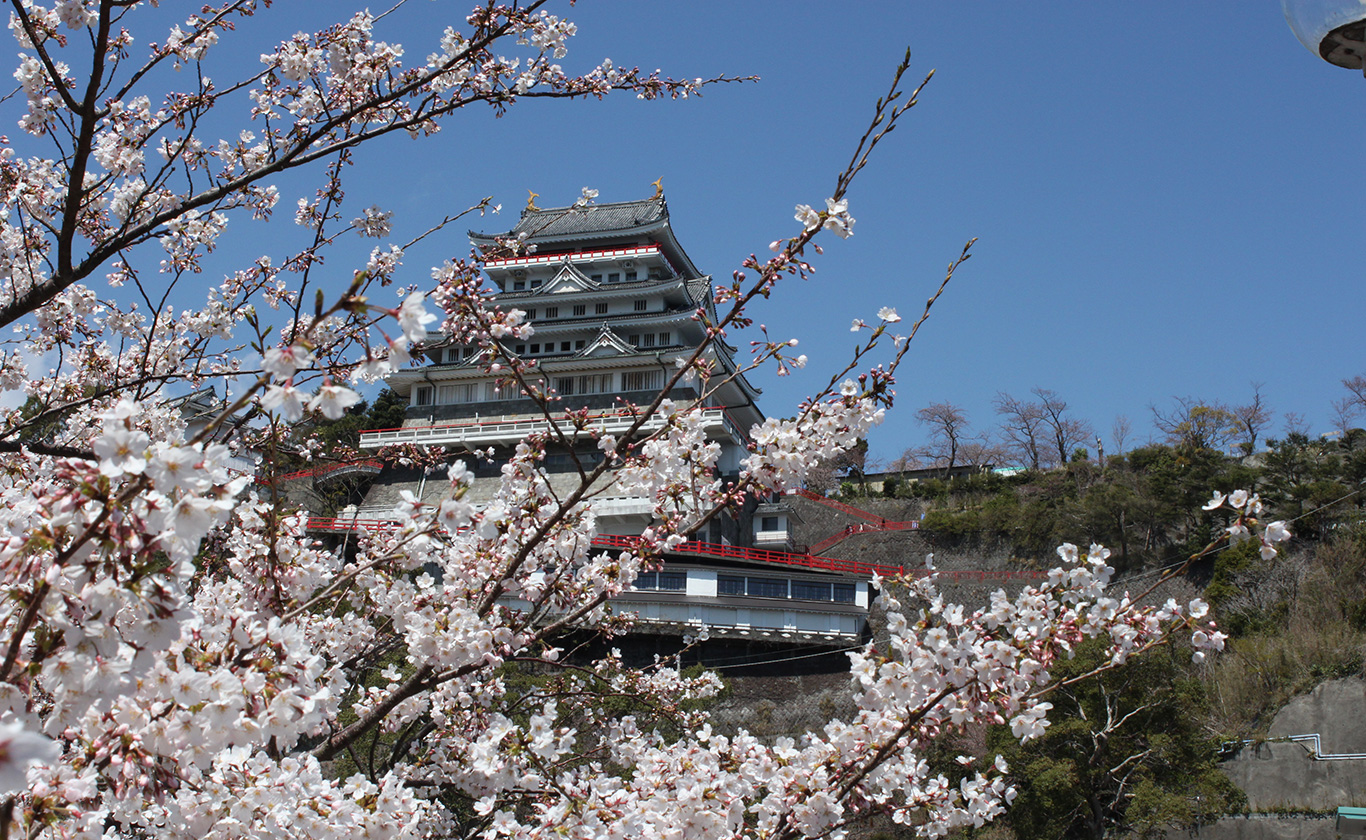 私たちが選ばれる理由
