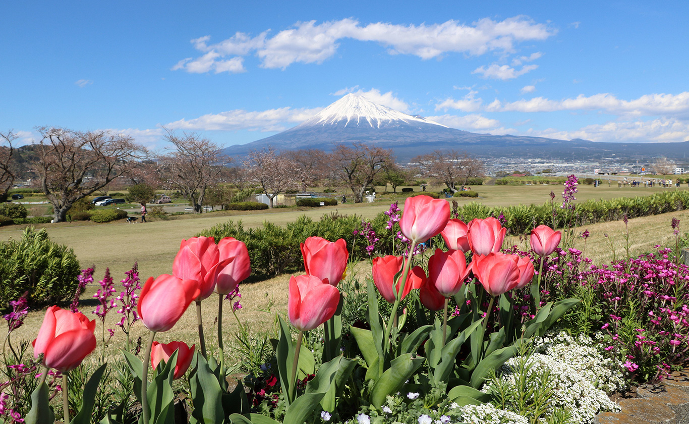 お電話でもお気軽にご相談ください