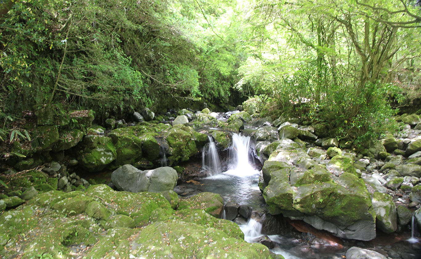私たちが選ばれる理由