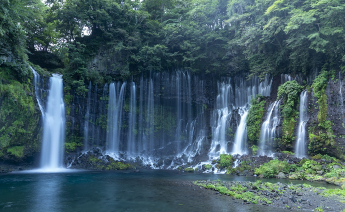 私たちが選ばれる理由