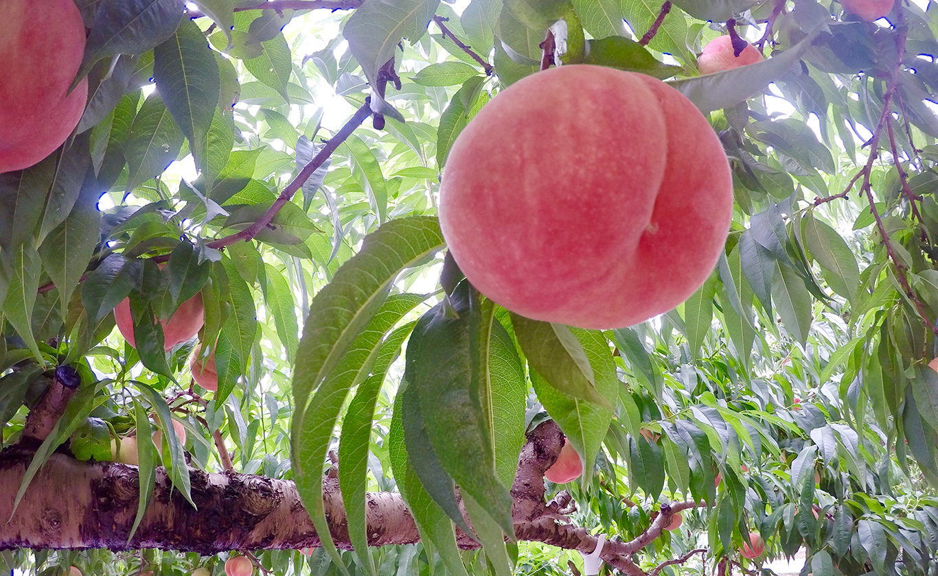 私たちが選ばれる理由