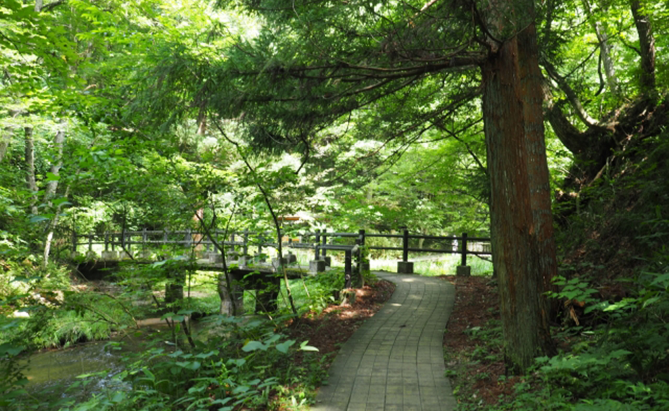 私たちが選ばれる理由