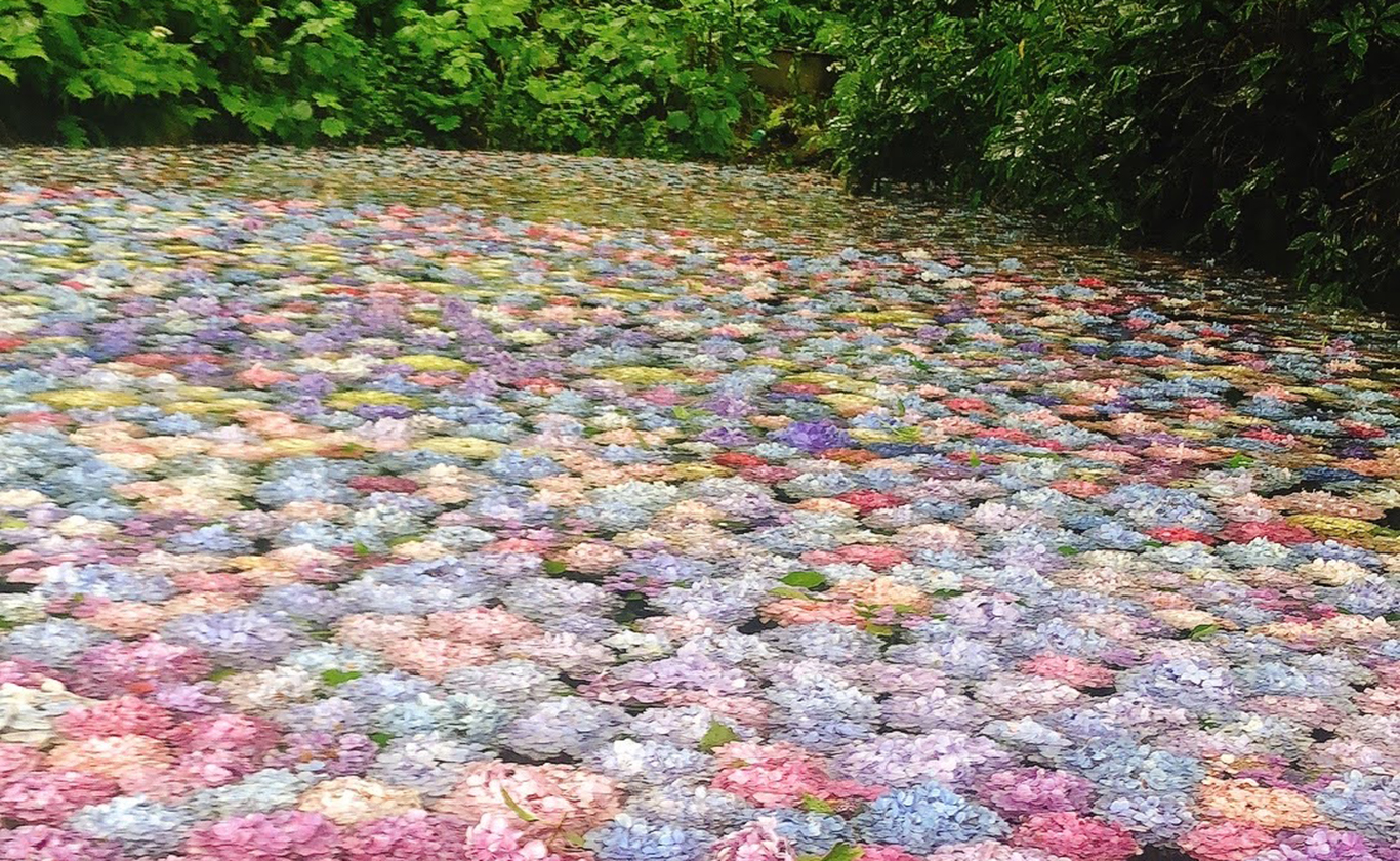 私たちが選ばれる理由