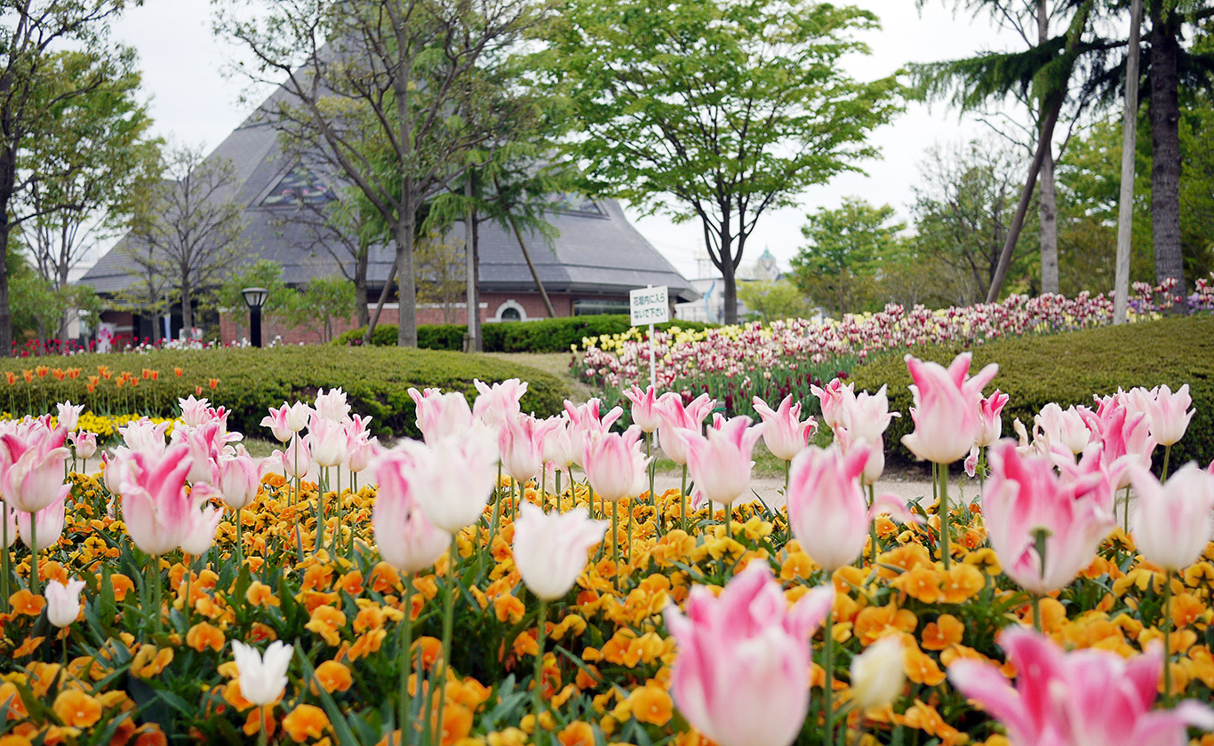 お電話でもお気軽にご相談ください