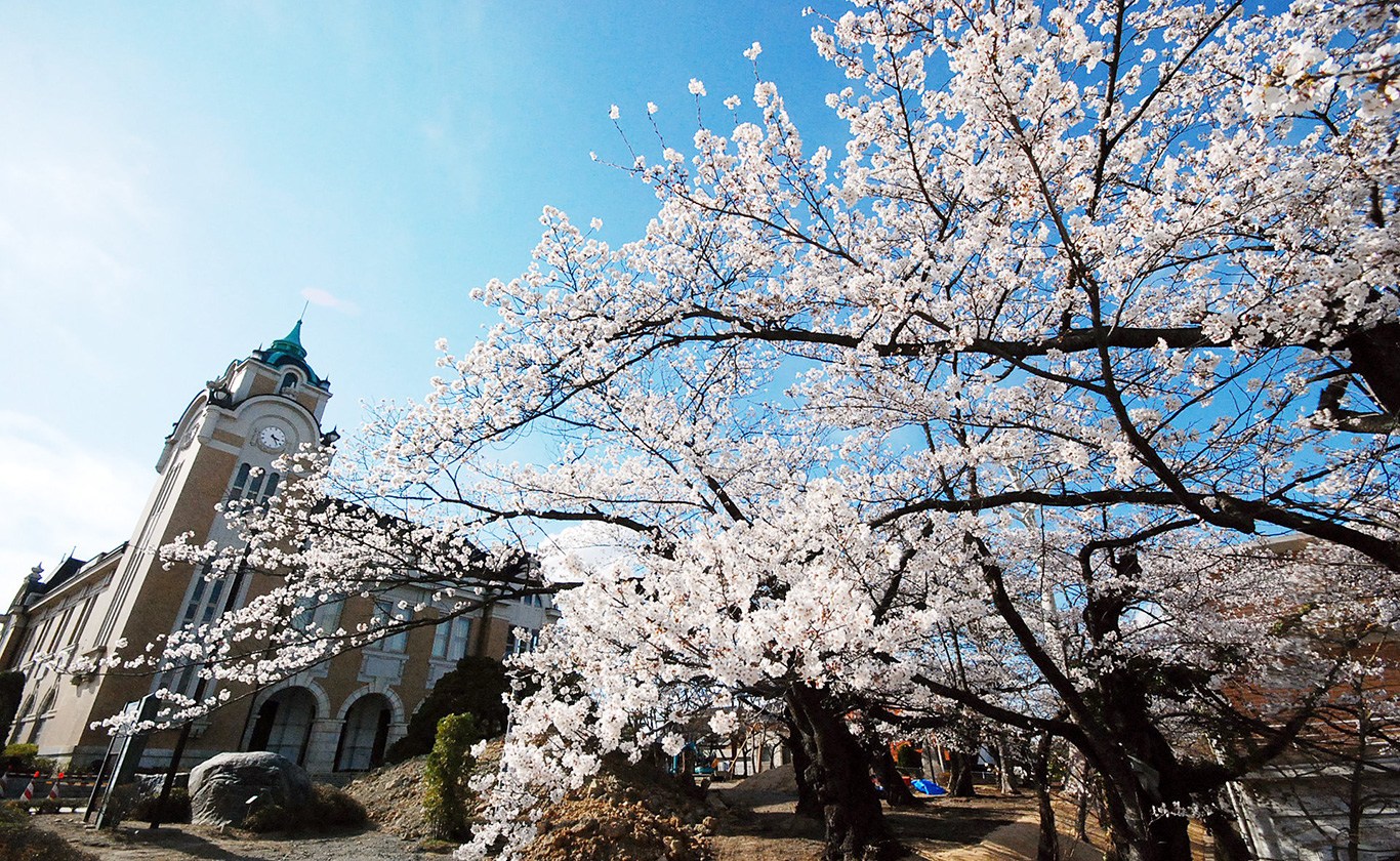 私たちが選ばれる理由