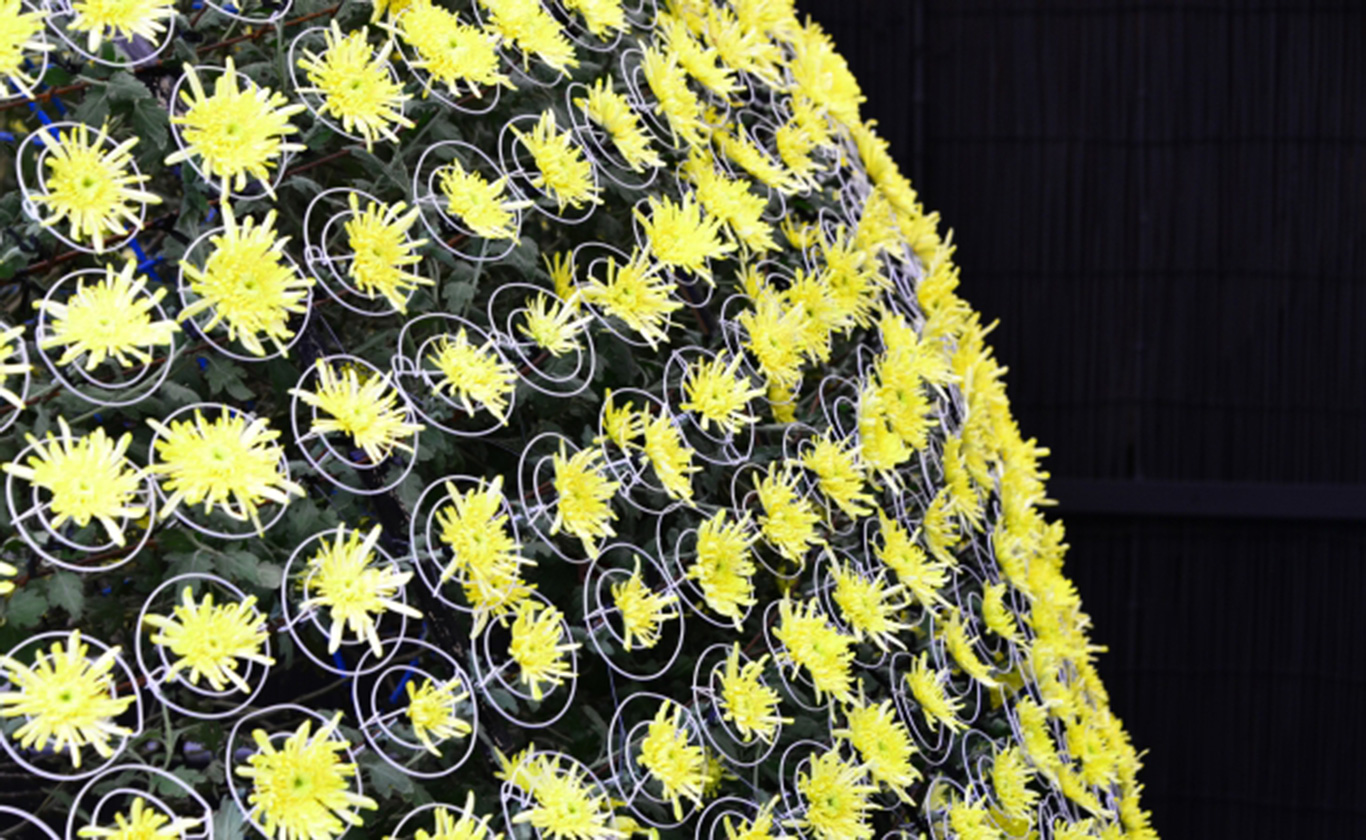 お電話でもお気軽にご相談ください