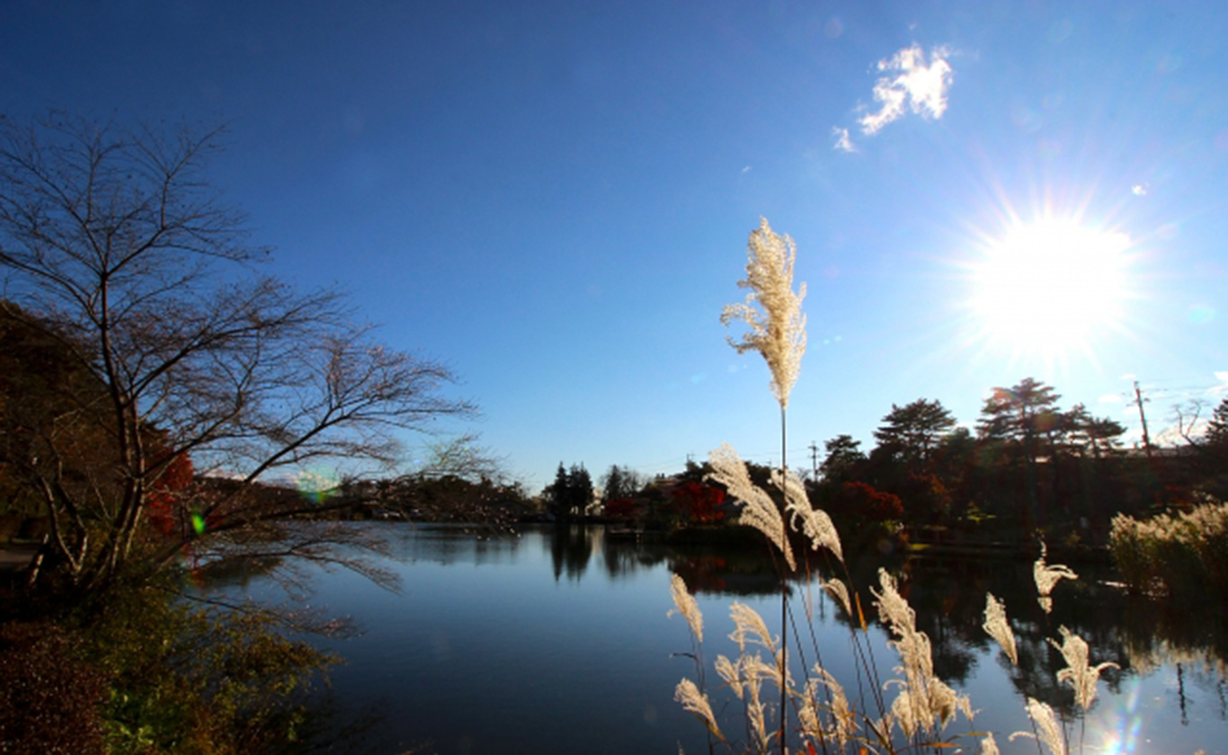 私たちが選ばれる理由