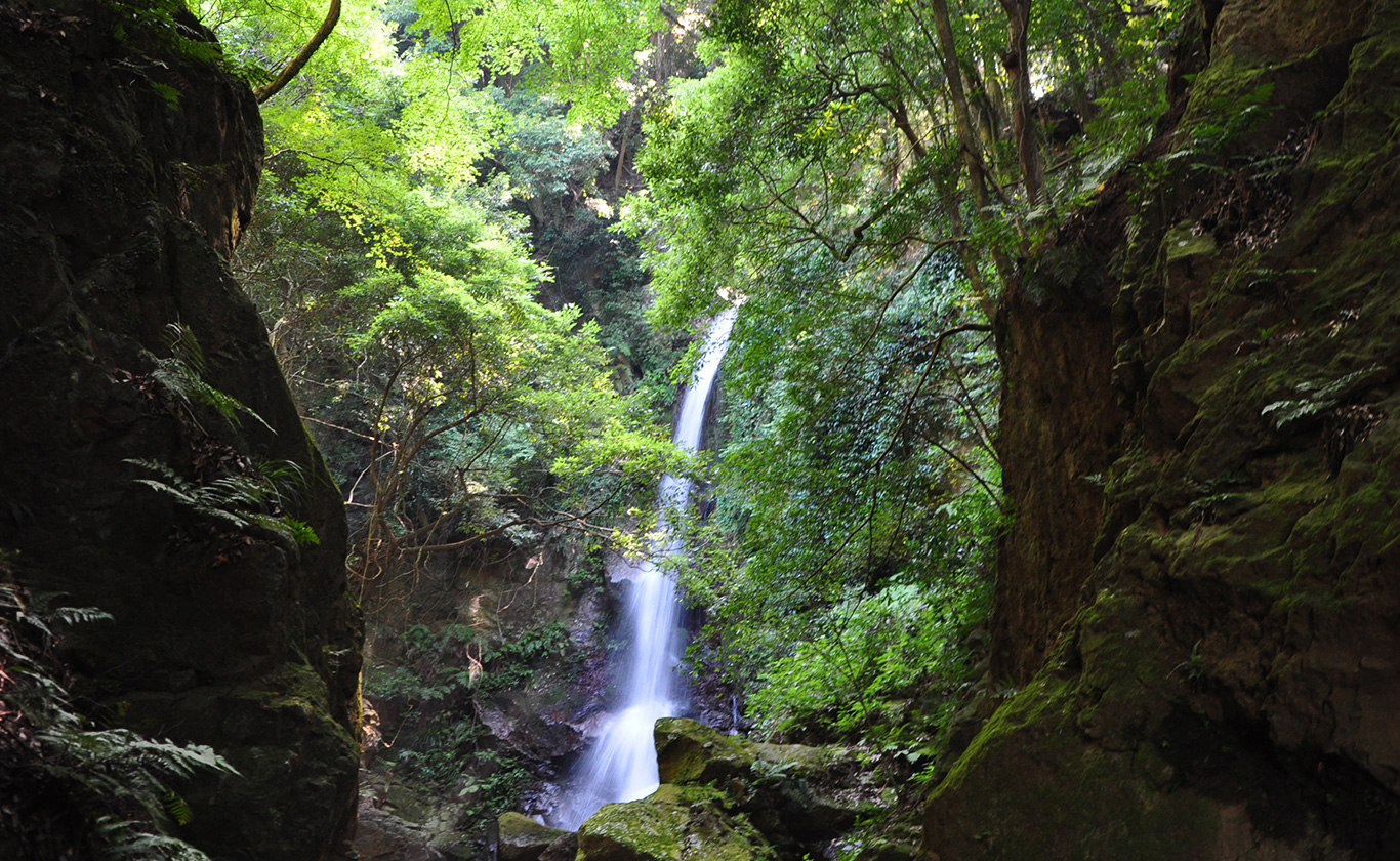 私たちが選ばれる理由