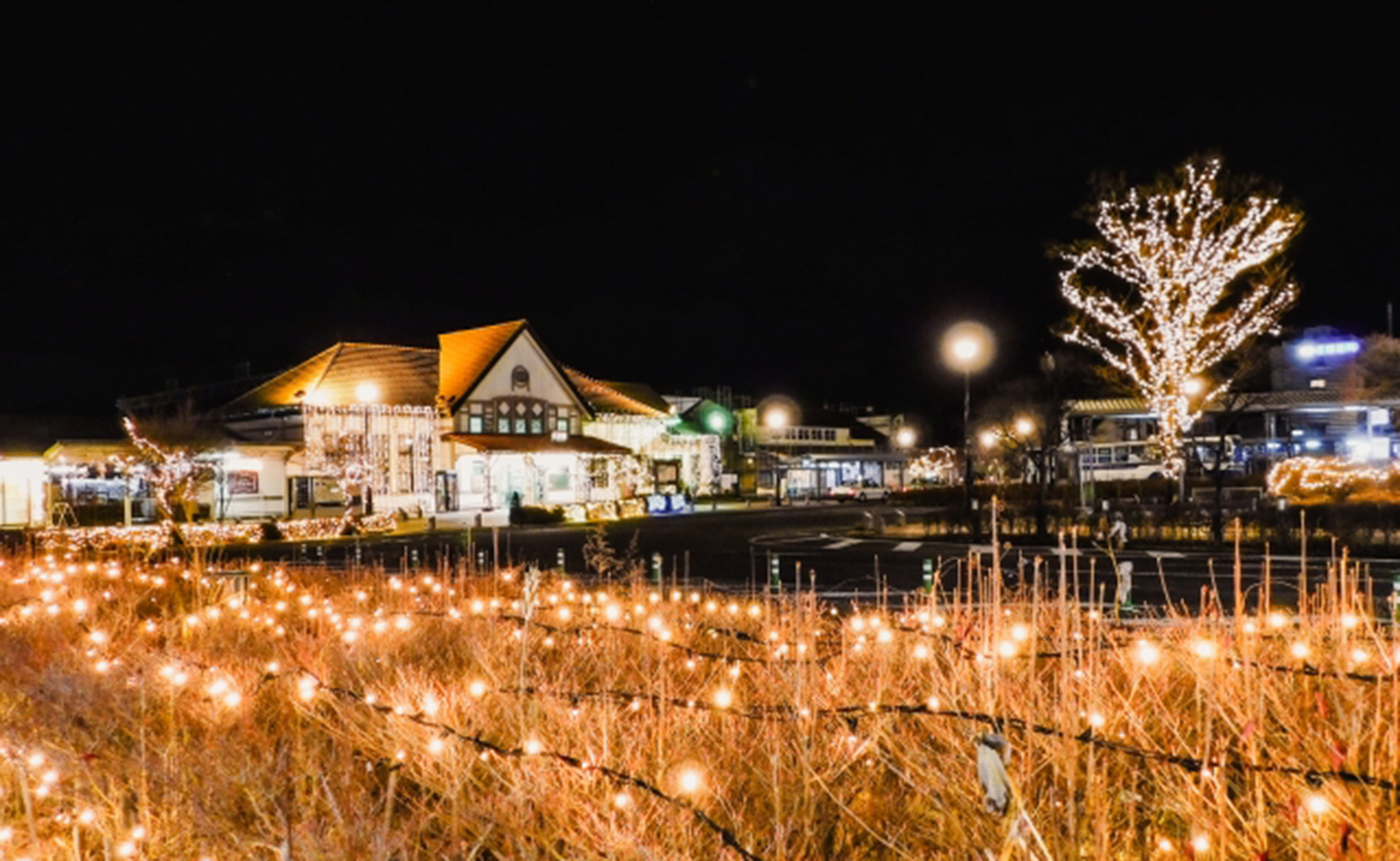 お電話でもお気軽にご相談ください