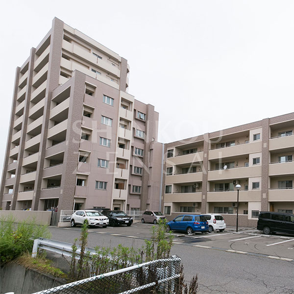 サンデュエル白虎