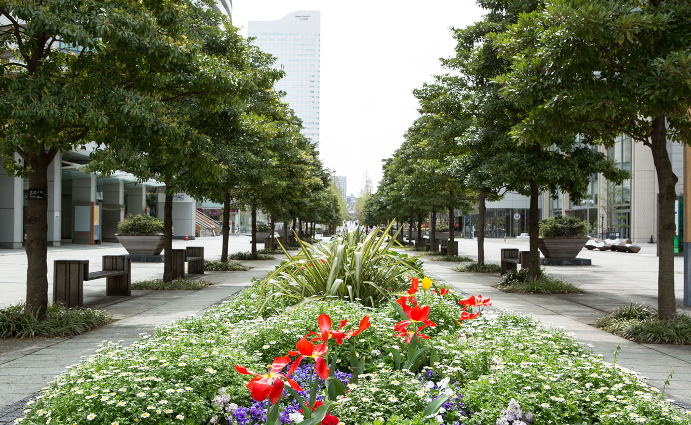 私たちが選ばれる理由