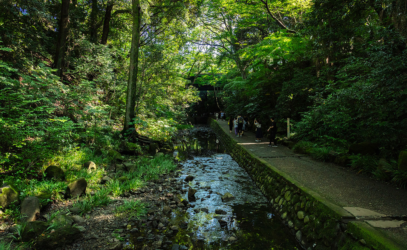 お電話でもお気軽にご相談ください
