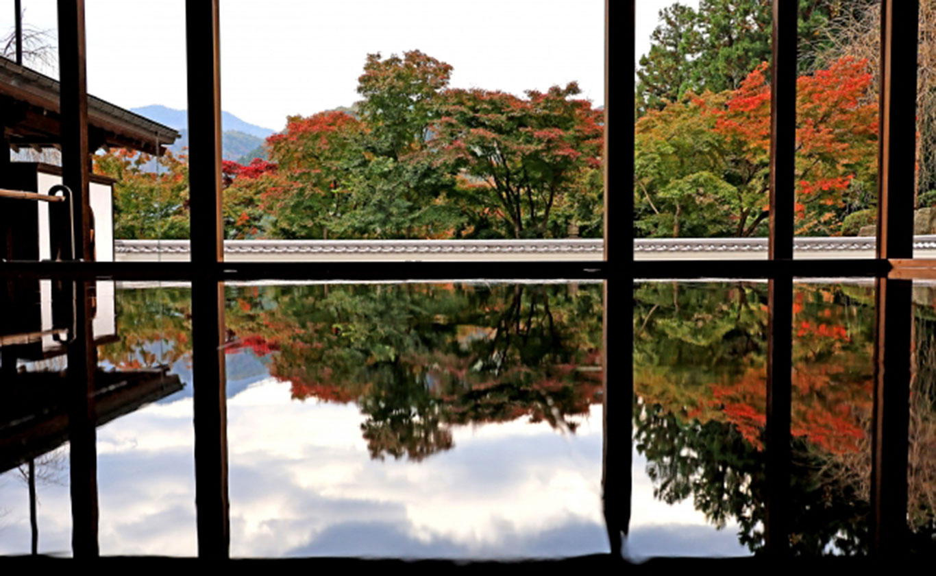 私たちが選ばれる理由