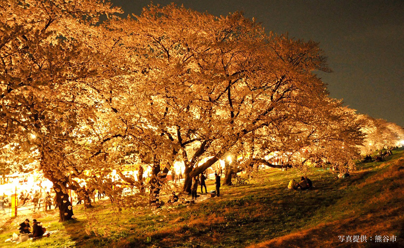 私たちが選ばれる理由