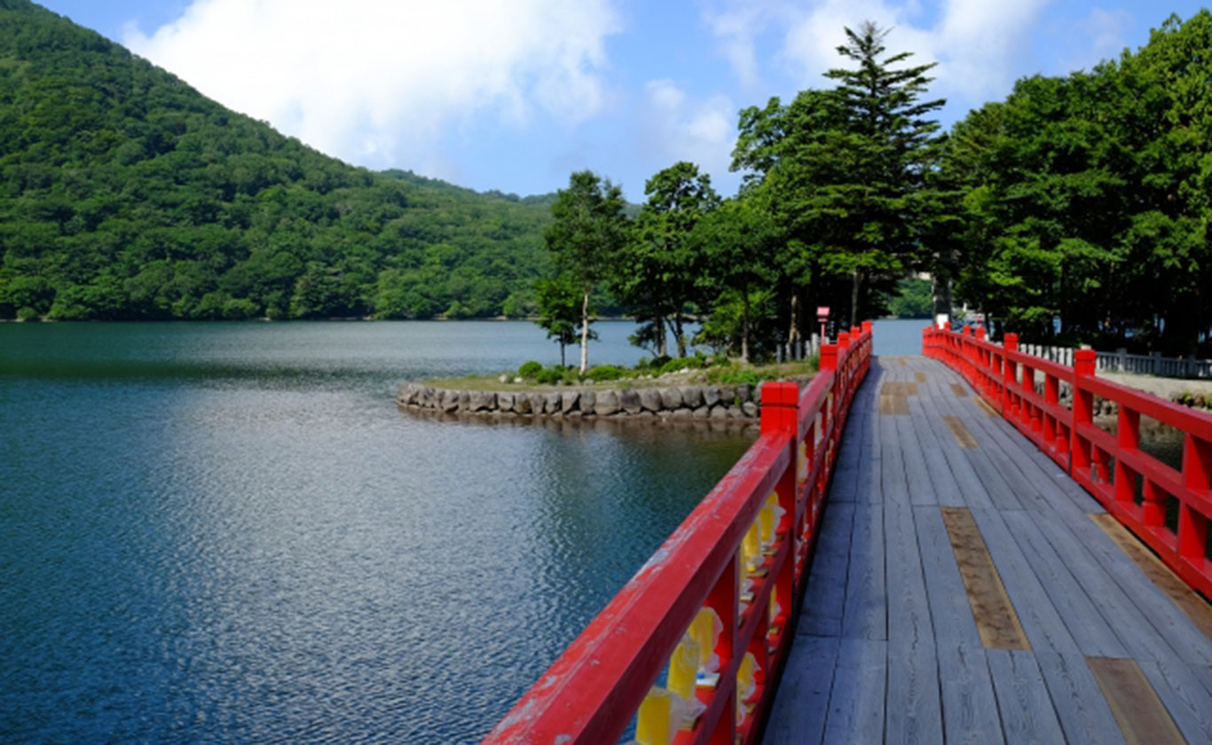 私たちが選ばれる理由