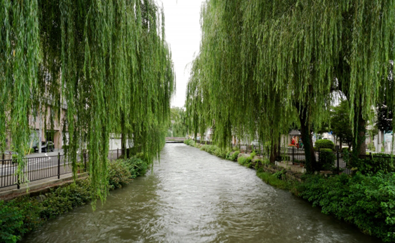 お電話でもお気軽にご相談ください