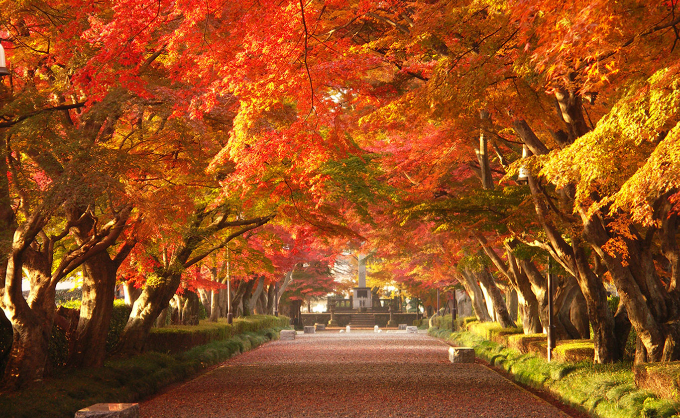 私たちが選ばれる理由