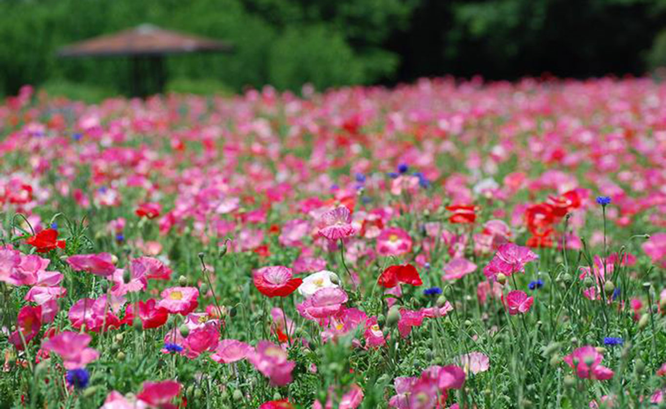 私たちが選ばれる理由