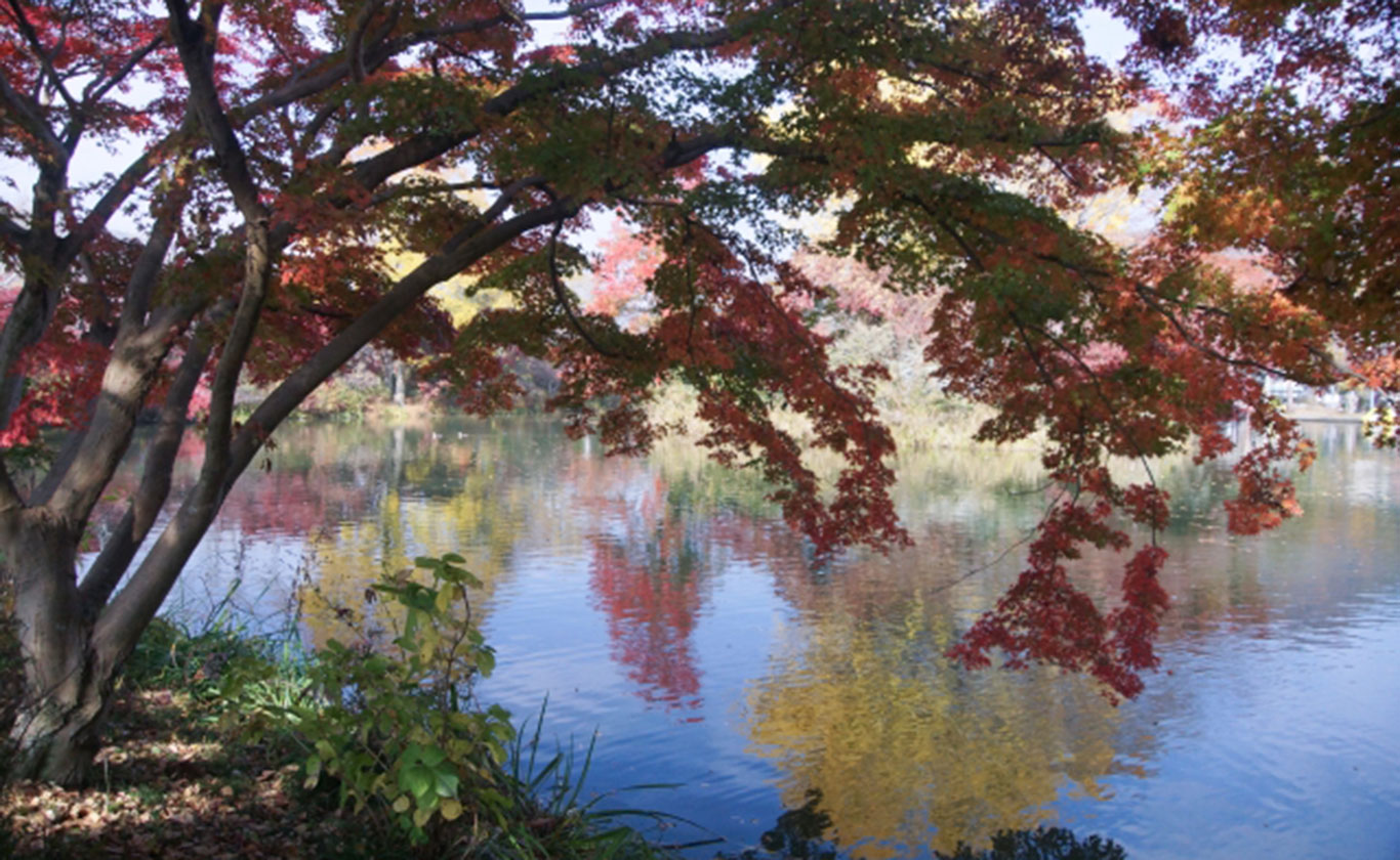 私たちが選ばれる理由