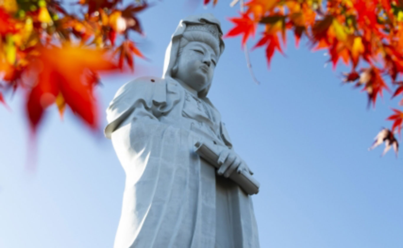 私たちが選ばれる理由