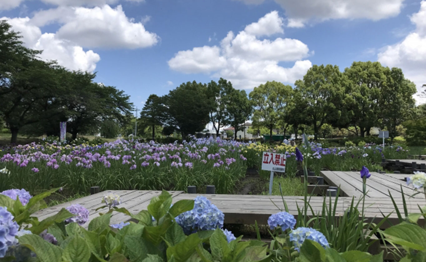 お電話でもお気軽にご相談ください
