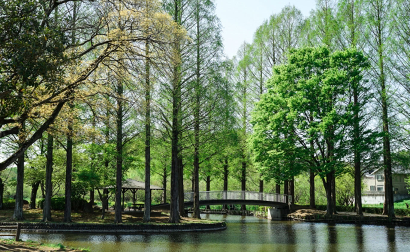 私たちが選ばれる理由