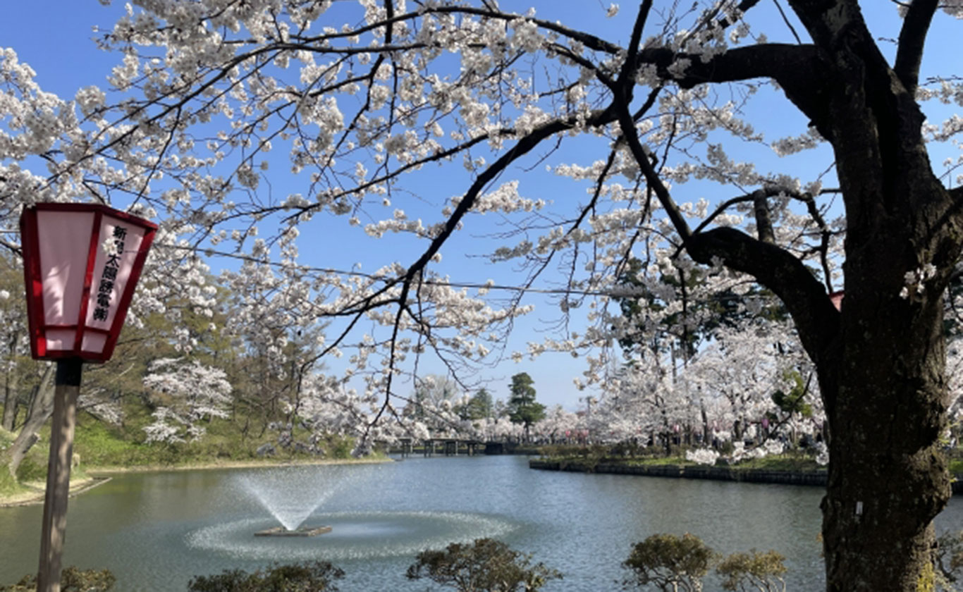 お電話でもお気軽にご相談ください