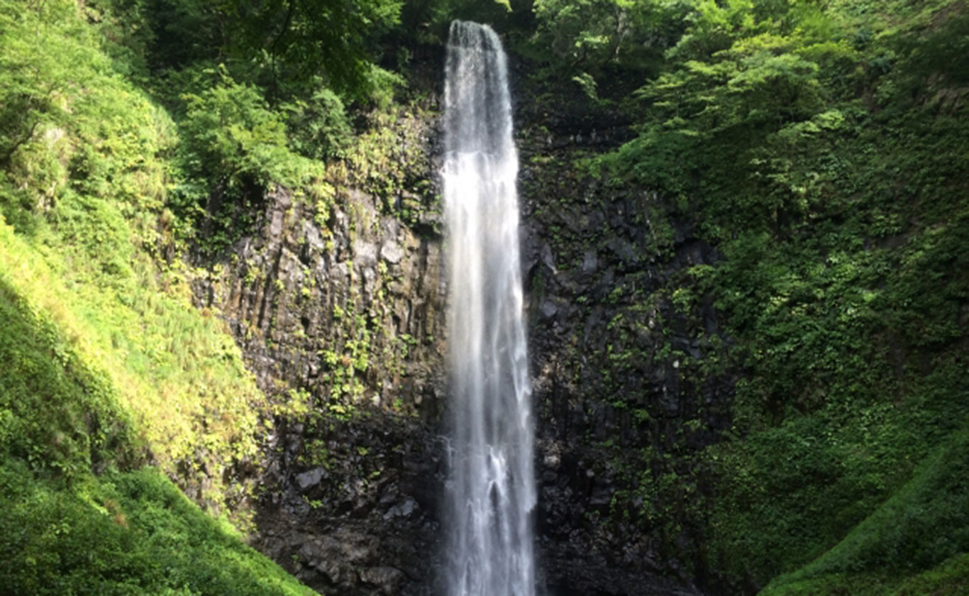 お電話でもお気軽にご相談ください