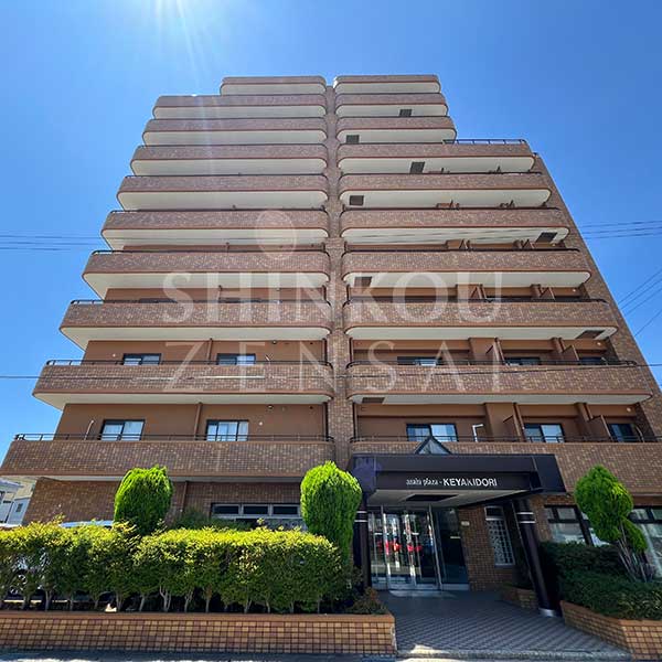 朝日プラザエザース欅通