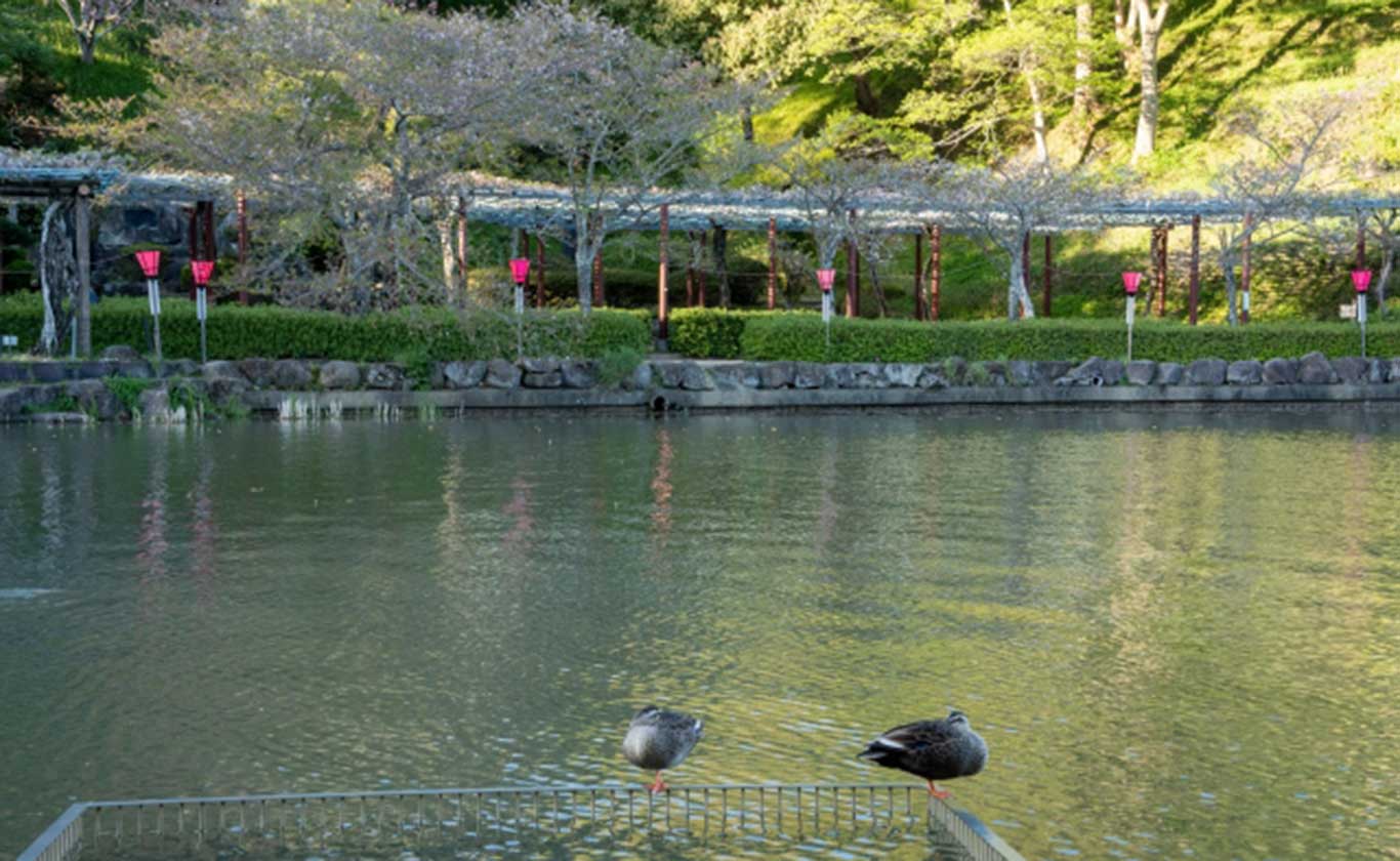 お電話でもお気軽にご相談ください