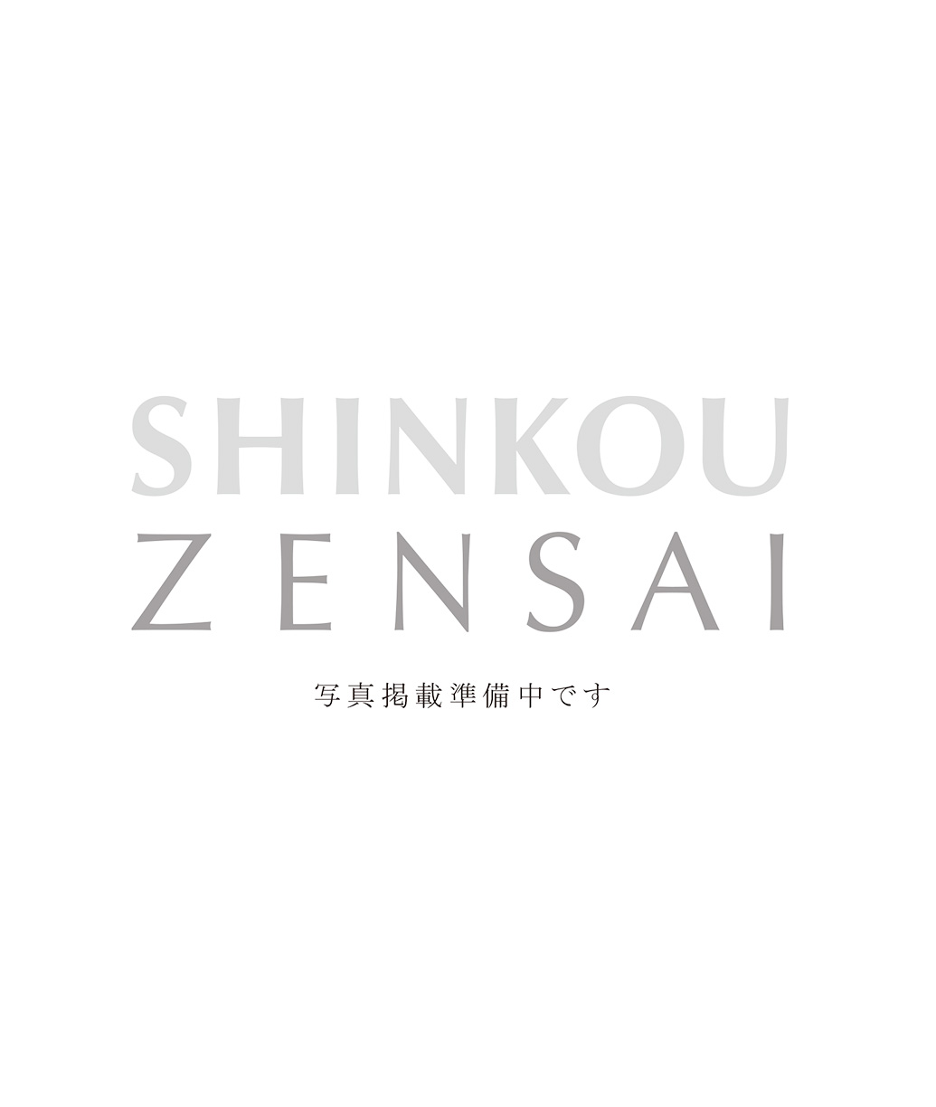 テイスティーリッツ長岡川崎 マンションリスト 株式会社深考全幸 Shinkou Zensai