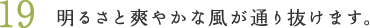 19.明るさと爽やかな風が通り抜けます。