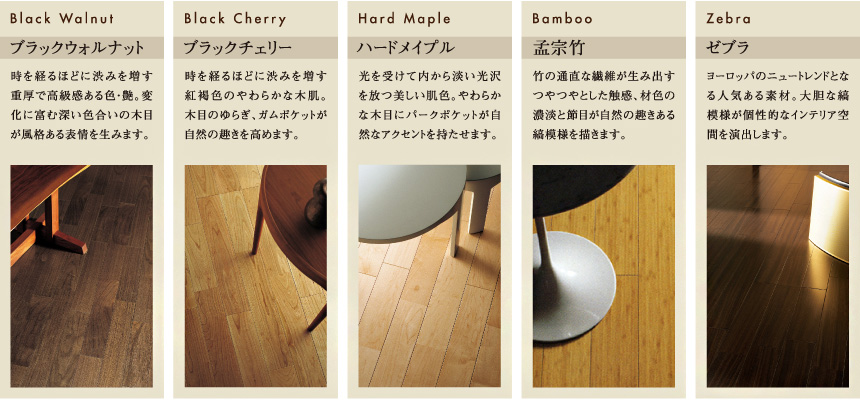 カラーセレクト