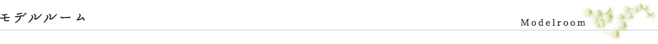 モデルルーム 