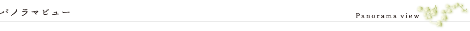 パノラマビュー