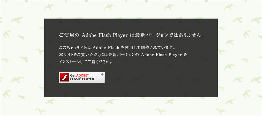 Get FLASH PLAYER